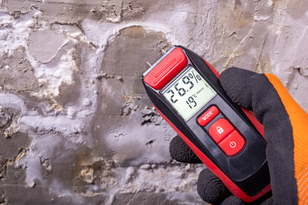 Best Mold Testing  in Wilton, CA
